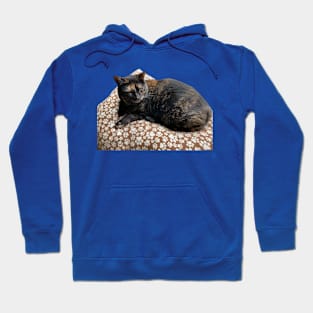 Tortietude Hoodie